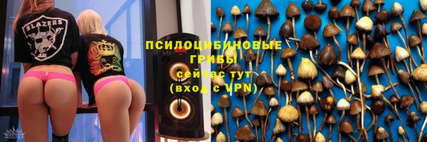 крисы Вязьма
